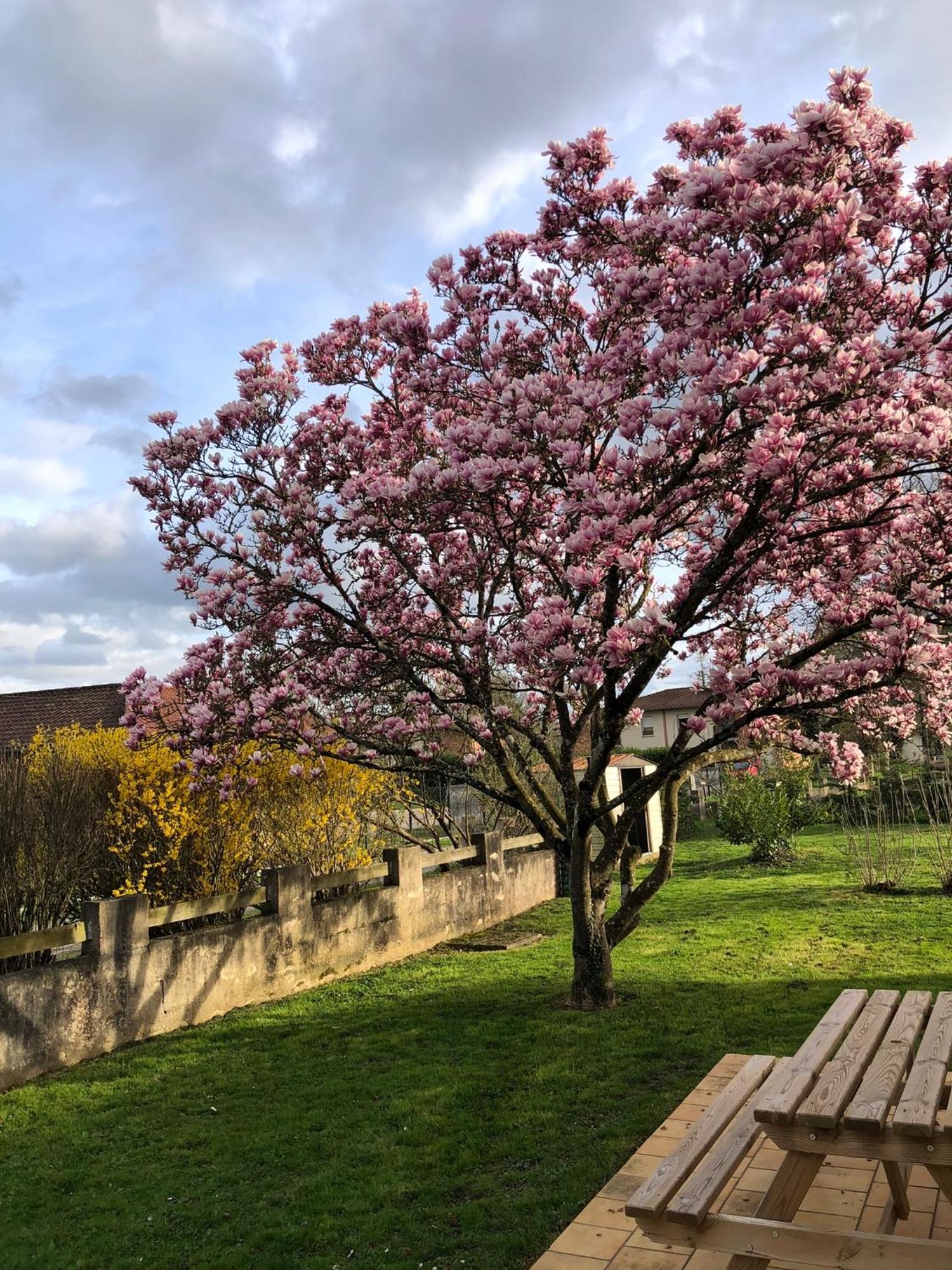 Parc De La Charmille Bed & Breakfast Saint-Etienne-sur-Reyssouze ภายนอก รูปภาพ