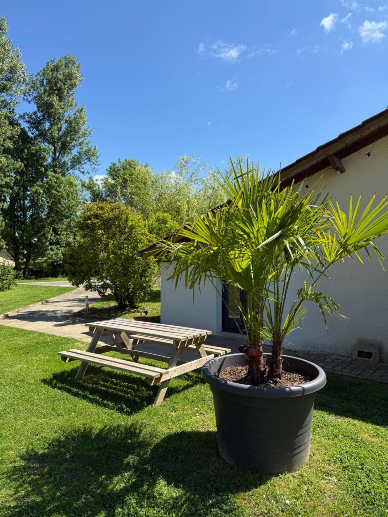 Parc De La Charmille Bed & Breakfast Saint-Etienne-sur-Reyssouze ภายนอก รูปภาพ